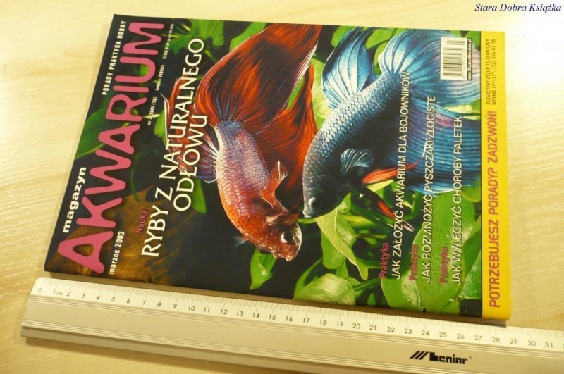 MAGAZYN AKWARIUM NR 3/2003 (16)