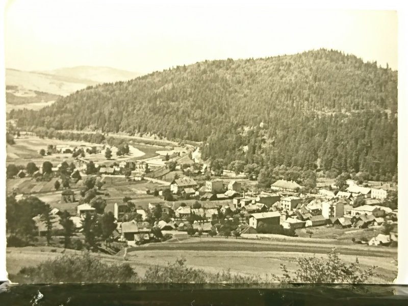 MUSZYNA - WIDOK OGÓLNY