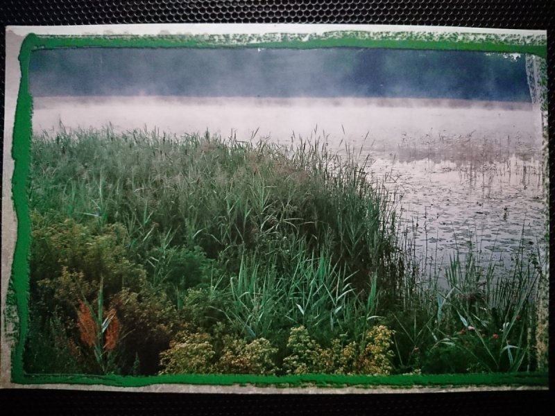 PARK KRAJOBRAZOWY STAWKI REZERWAT WIELKI LAS. GMINA PRZYRÓW FOT. SKABEK