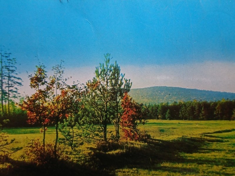 GÓRY ŚWIĘTOKRZYSKIE. ŁYSICA 611 m FOT. T. BILIŃSKI
