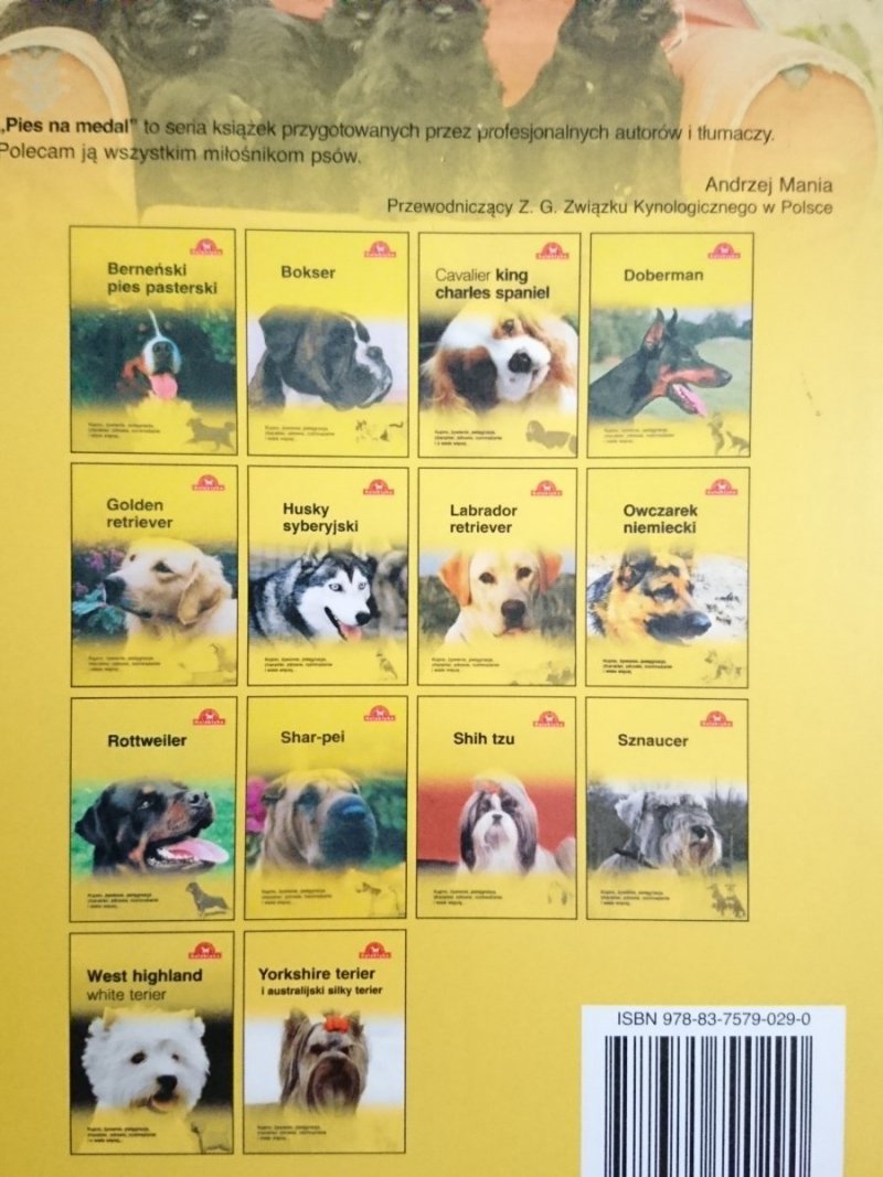 SZNAUCER. KUPNO, ŻYWIENIE, PIELĘGNACJA, CHARAKTER