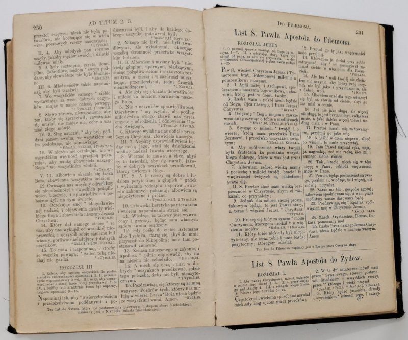 BIBLIJA  ŚWIĘTA TO JEST WSZYSTKO PISMO ŚWIĘTE STAREGO I NOWEGO TESTAMENTU 1889 r.