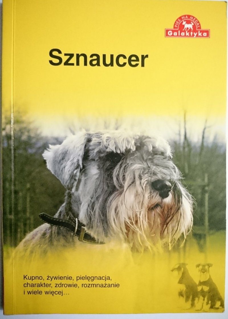 SZNAUCER. KUPNO, ŻYWIENIE, PIELĘGNACJA, CHARAKTER