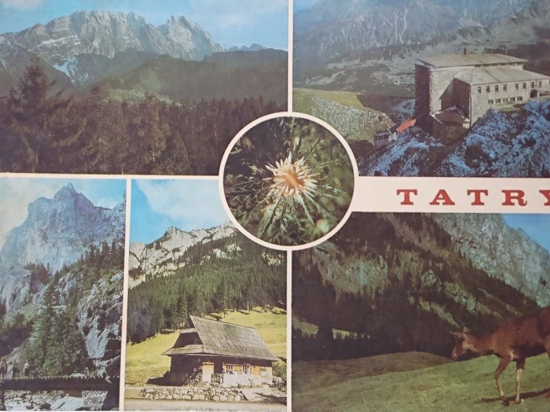TATRY. GIEWONT 1894m STACJA KOLEJKI FOT. WDOWIŃSKI