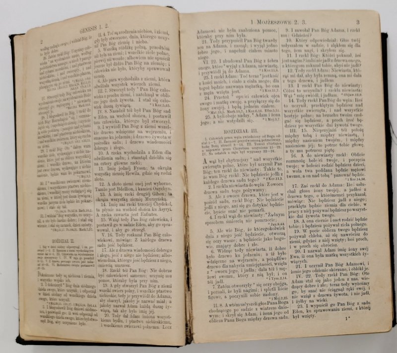 BIBLIJA  ŚWIĘTA TO JEST WSZYSTKO PISMO ŚWIĘTE STAREGO I NOWEGO TESTAMENTU 1889 r.