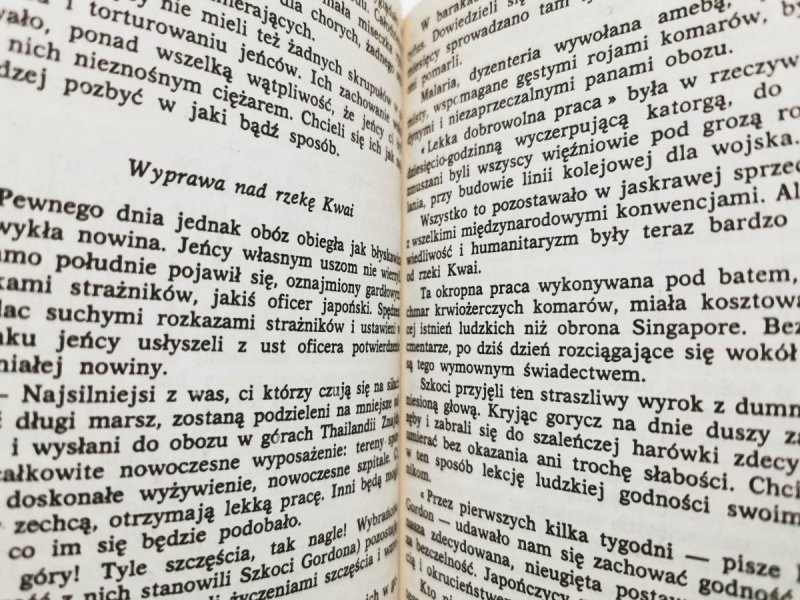 OBLICZA WIELKOŚCI - Teresio Bosco 1982