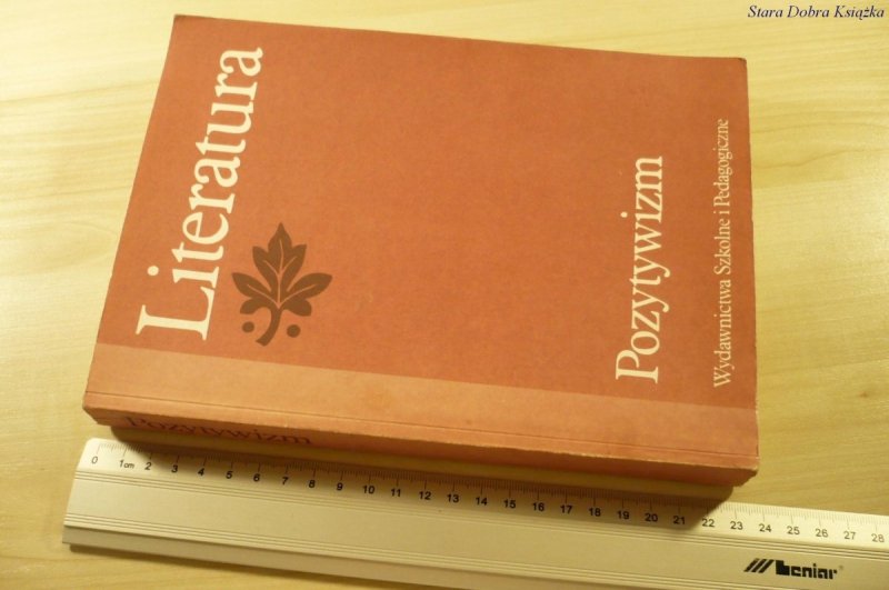 LITERATURA. POZYTYWIZM - Tadeusz Bujnicki (1989)