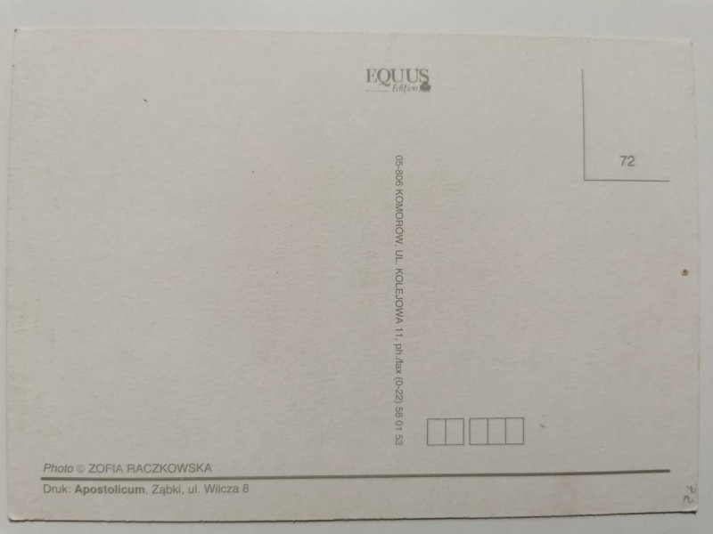 RUDY KOTEK NA GŁOWIE KONIA Z GRZYWĄ FOT. RACZKOWSKA