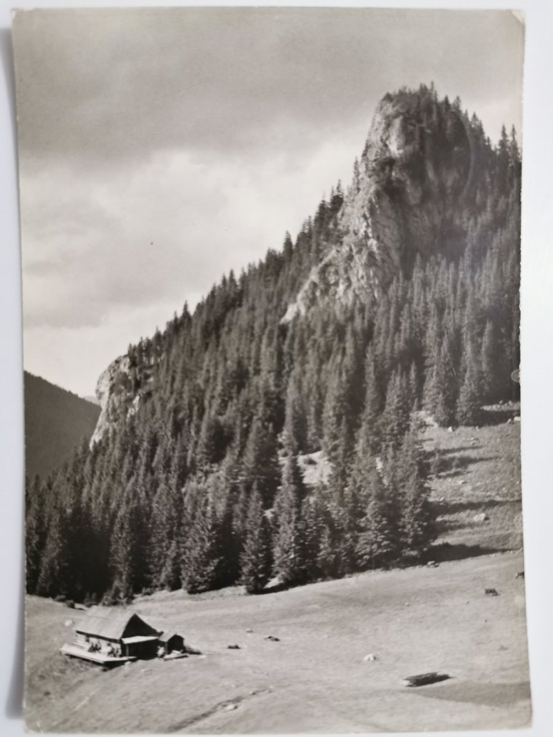 TATRY ZACHODNIE. ZAWIESISTA TURNIA FOT. ZALESKI