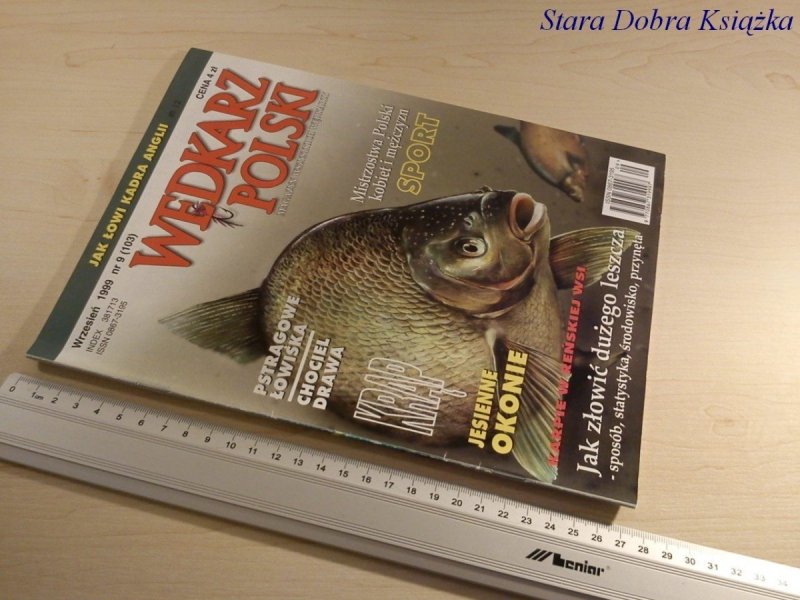 WĘDKARZ POLSKI NR 9/1999 JAK ZŁOWIĆ DUŻEGO LESZCZA