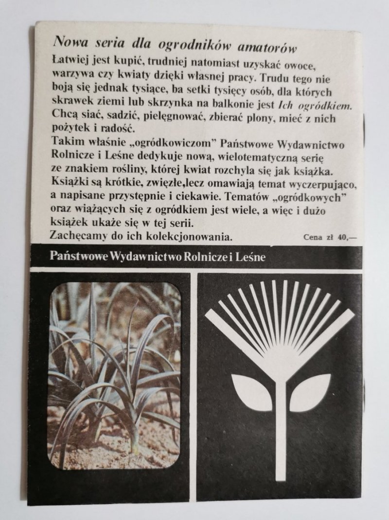 WARZYWA O WŁAŚCIWOŚCIACH LECZNICZYCH. CEBULA, CZOSNEK I INNE 1985