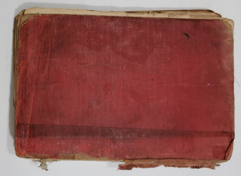 PAN TADEUSZ wyd. 1911 r. - Adam Mickiewicz