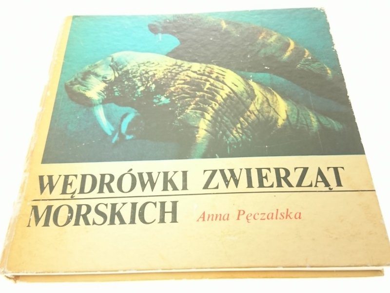 WĘDRÓWKI ZWIERZĄT MORSKICH - Pęczalska 1981