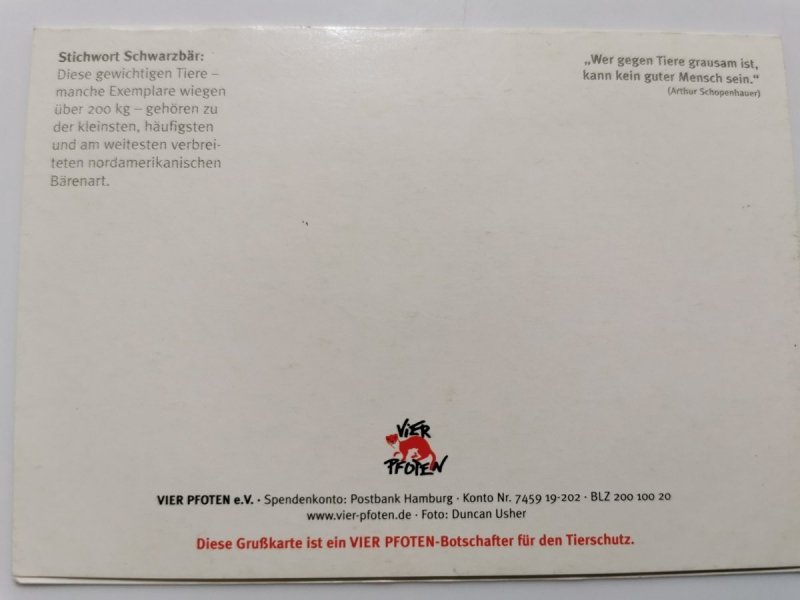 MAŁY NIEDŹWIADEK. OTWIERANA KARTKA CZYSTA