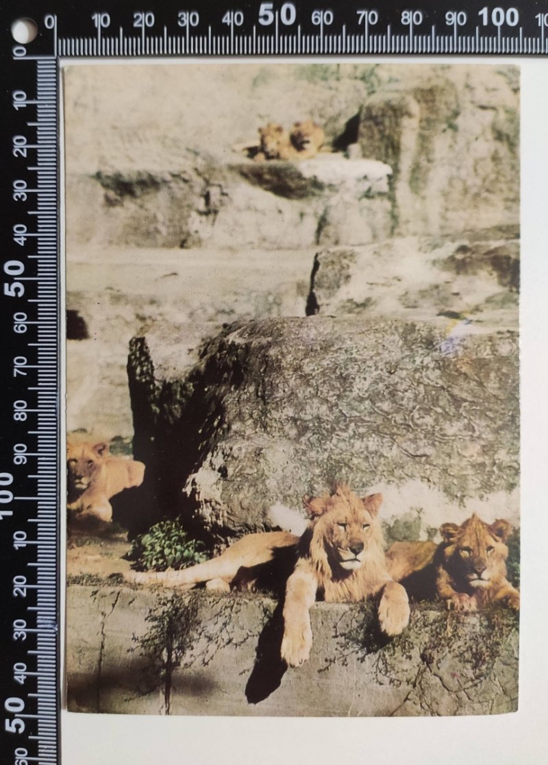 WARSZAWA. MIEJSKI OGRÓD ZOOLOGICZNY