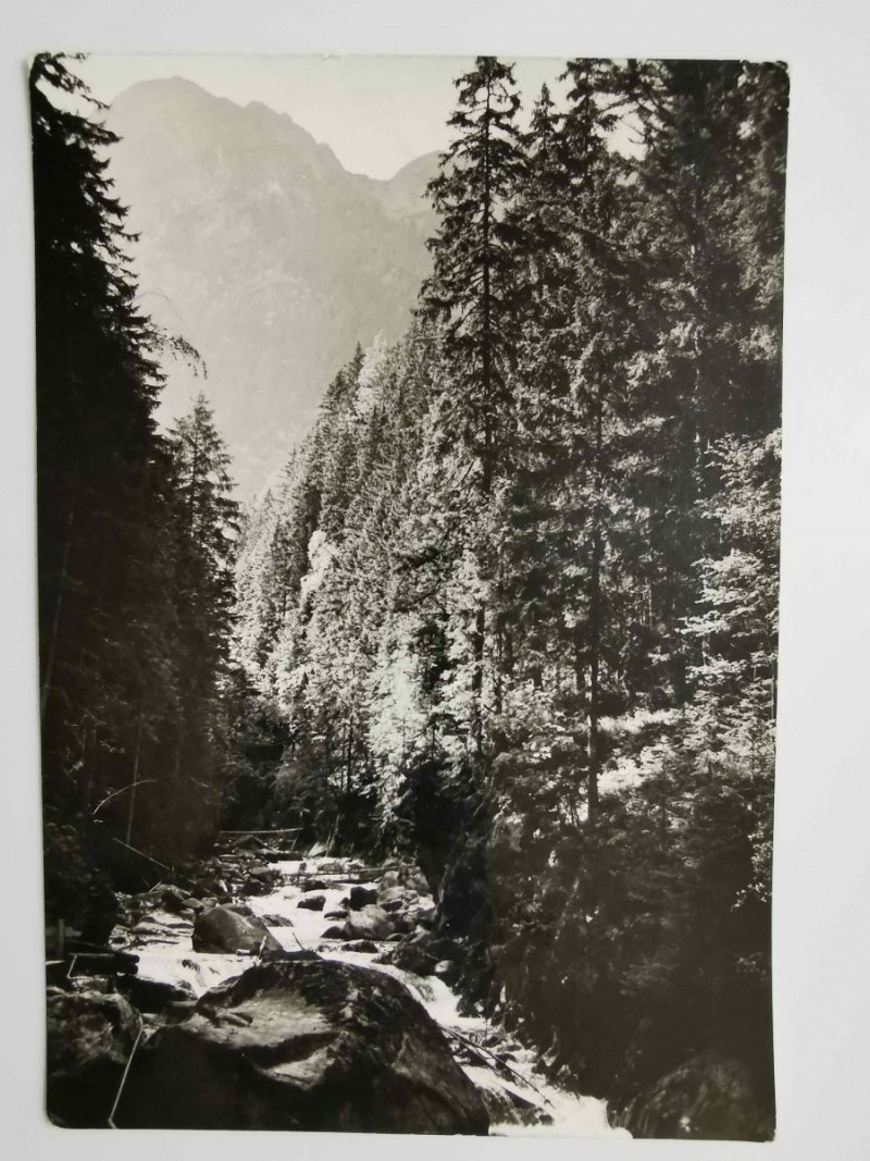TATRY WYSOKIE. DOLINA ROZTOKI FOT. L. ŚWIĘCKI