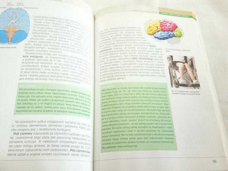 BIOLOGIA. PODRĘCZNIK KLASA 2 - Loritz-Dobrowolska