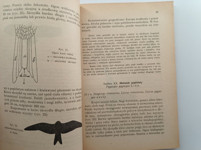 ALBUM KRAJOWYCH ZWIERZĄT CHRONIONYCH – 1947 R - Jan Marchlewski