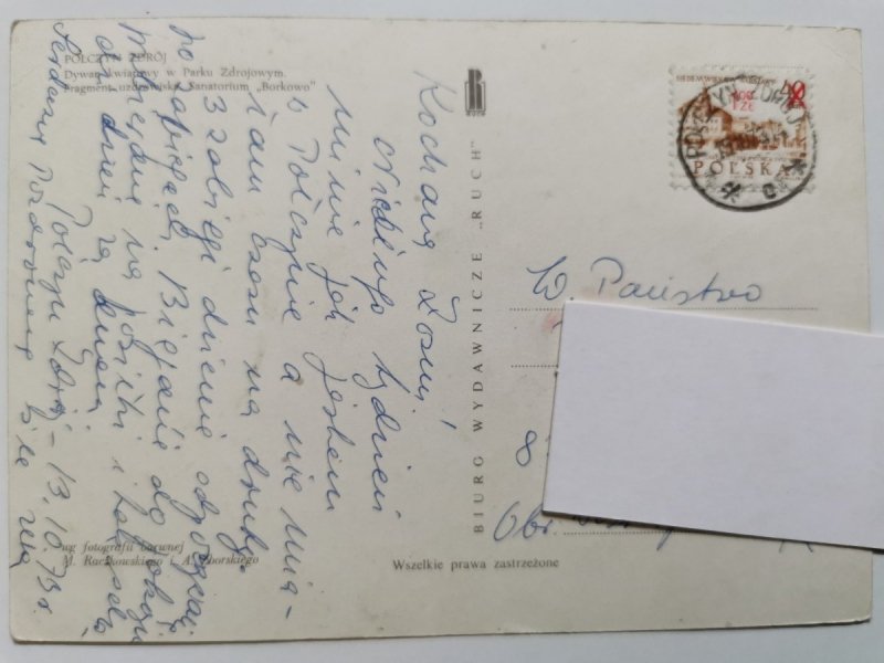 POŁCZYN ZDRÓJ. DYWAN KWIATOWY W PARKU ZDROJOWYM FOT. ZBORSKI