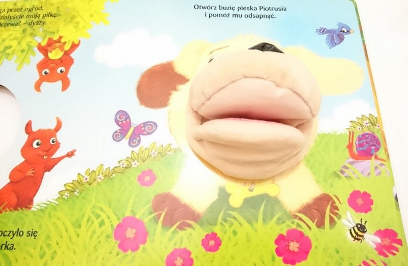 PIESEK PIOTRUŚ. MIŁEJ ZABAWY Z PIESKIEM 2017