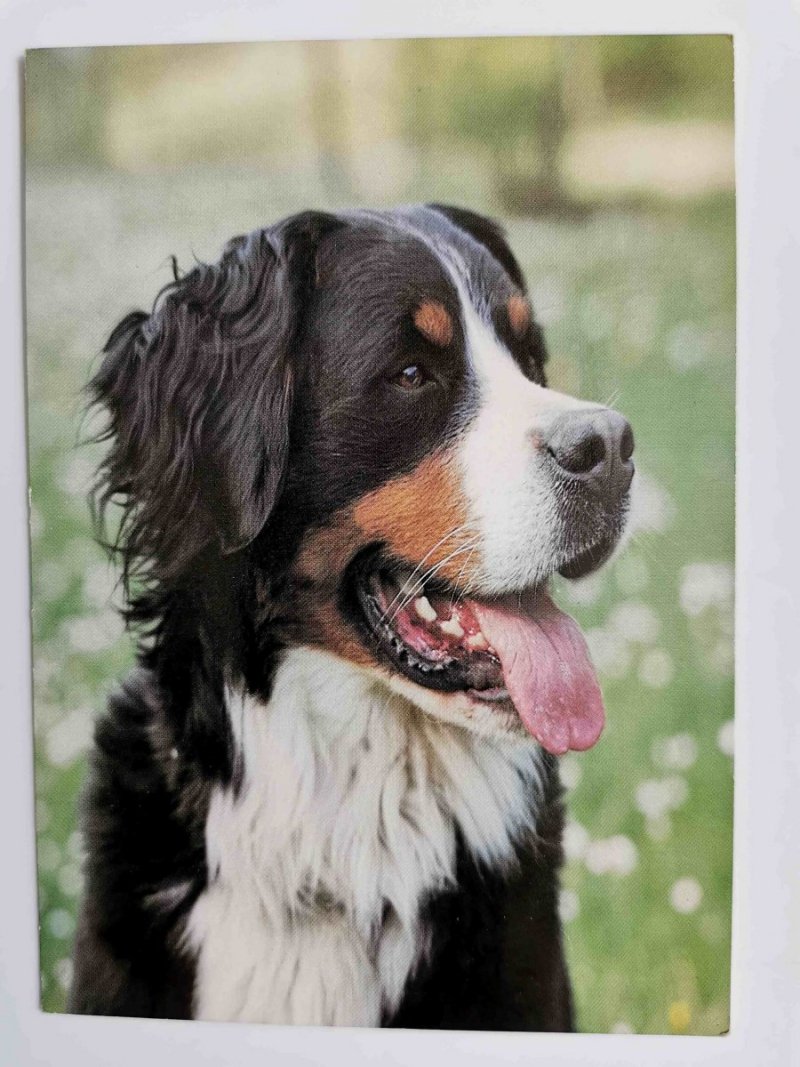 BERNARDYN. FOTOKUNST GROH
