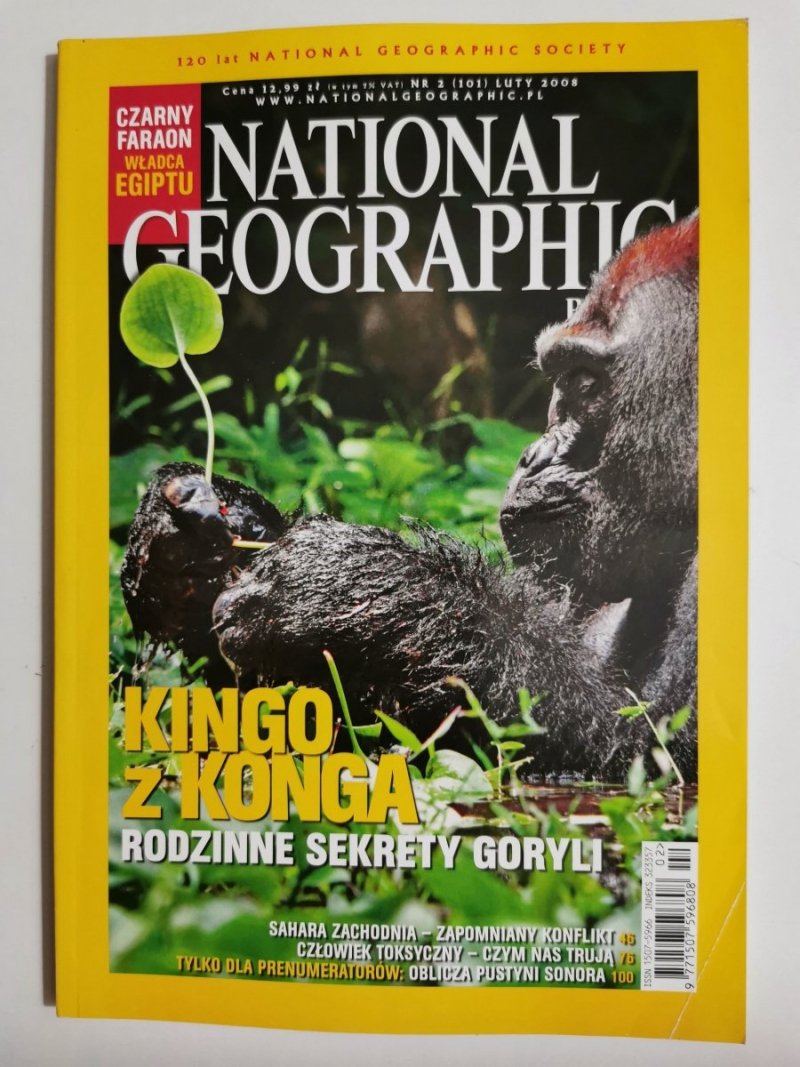 NATIONAL GEOGRAPHIC POLSKA NR 2 (101) LUTY 2008