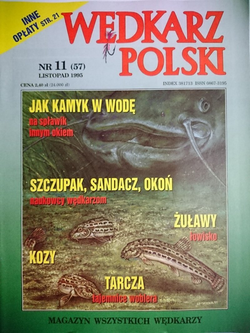 WĘDKARZ POLSKI 11-1995