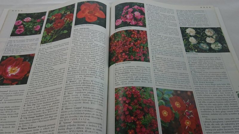 ILUSTROWANA ENCYKLOPEDIA ROŚLIN CZĘŚĆ 7/8 R-S