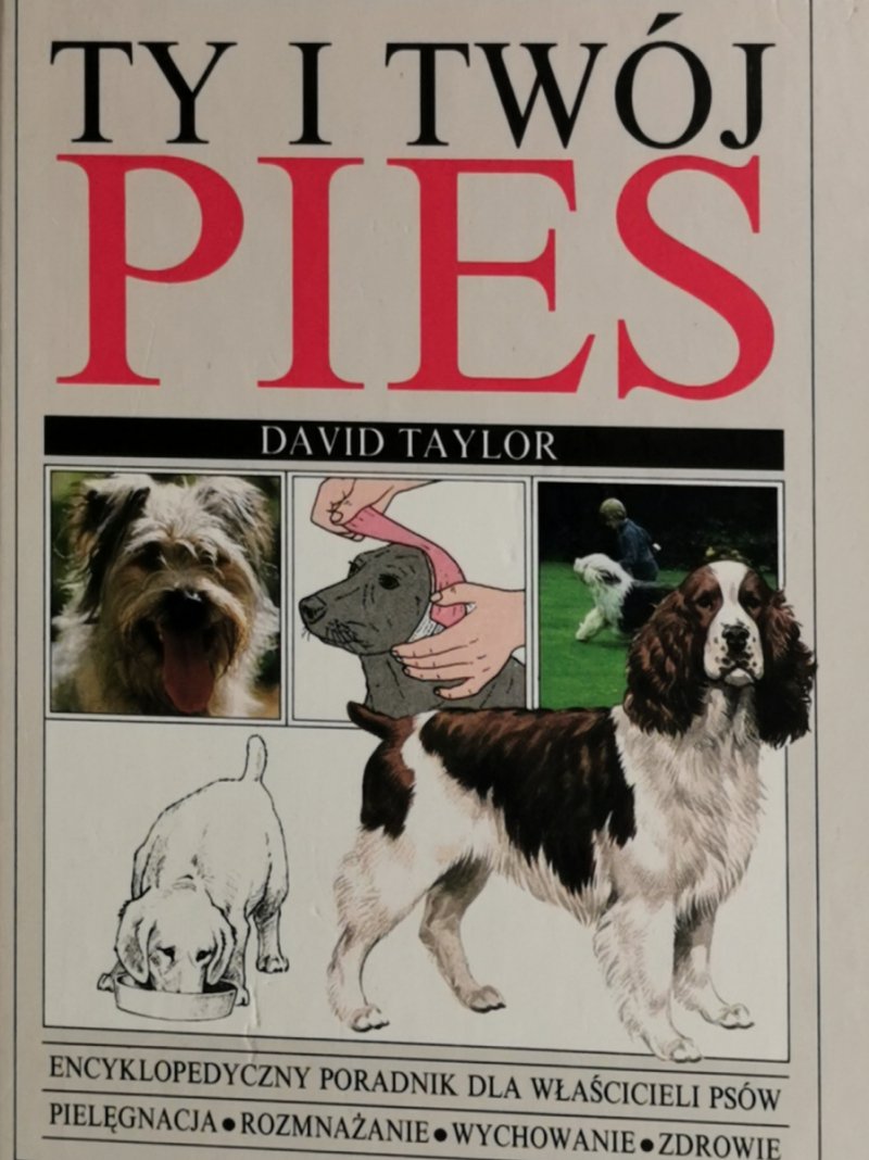 TY I TWÓJ PIES - David Taylor