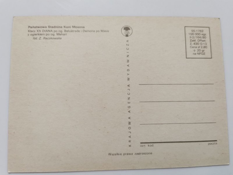 PAŃSTWOWA STADNINA KONI MOSZNA. KLACZ XX DIANA FOT. RACZKOWSKA
