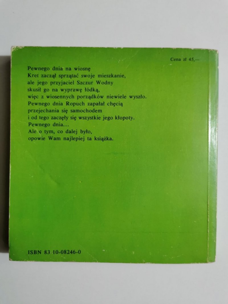 O CZYM SZUMIĄ WIERZBY - Kenneth Grahame 
