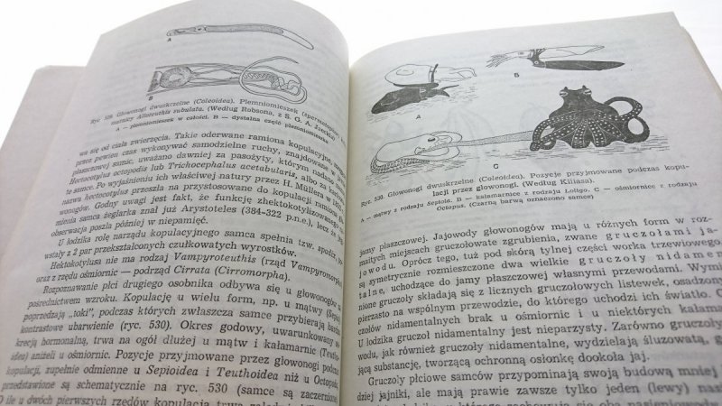 ZOOLOGIA BEZKRĘGOWCE TOM 1 CZĘŚĆ 3 - Grabda 1984