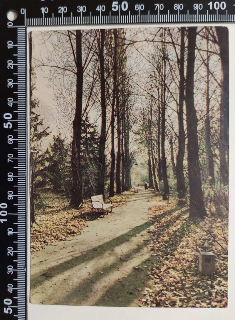 WARSZAWA. PARK ŁAZIENKOWSKI JESIENIĄ