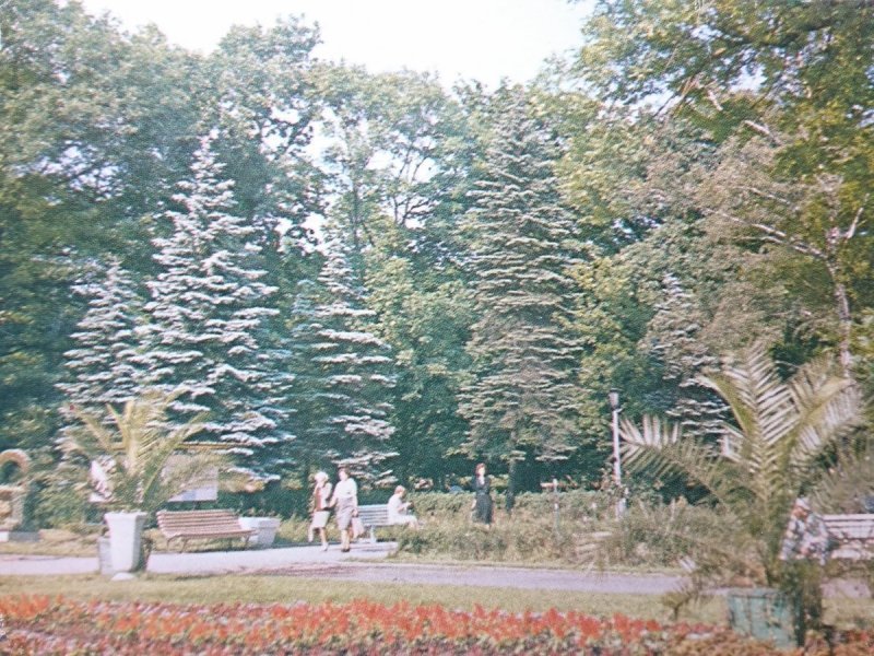INOWROCŁAW. PARK ZDROJOWY FOT. W. ŻYŁA