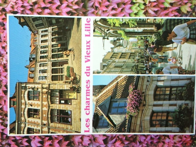 LES CHARMES DU VIEUX LILLE