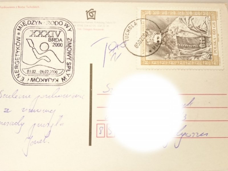 BORY TUCHOLSKIE FOT. GRZEGORZ ARASZEWSKI