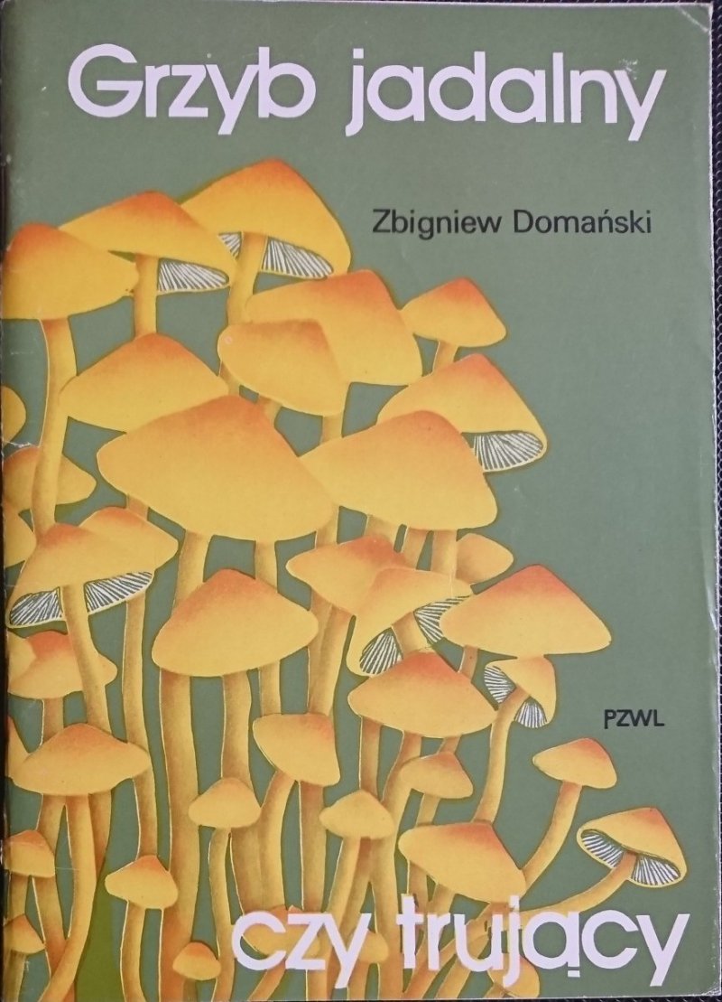 GRZYB JADALNY - Zbigniew Domański 1982