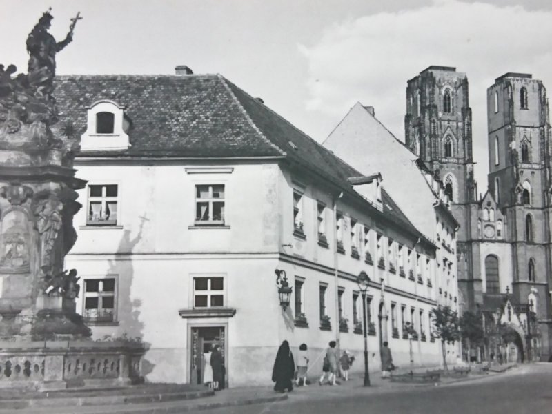 WROCŁAW. OSTRÓW TUMSKI FOT. J. OSUCHOWSKI