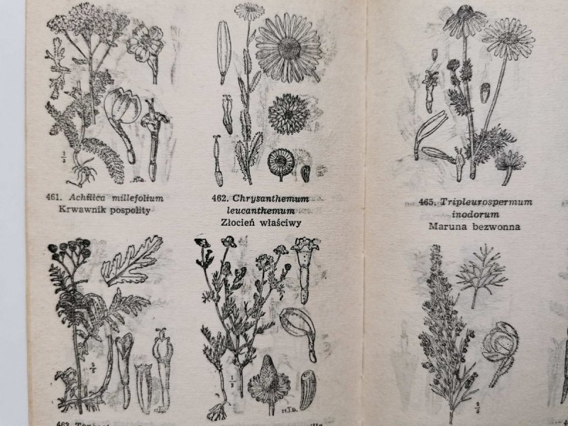 PRZEWODNIK DO OZNACZANIA ROŚLIN - Józef Rostafiński 1972