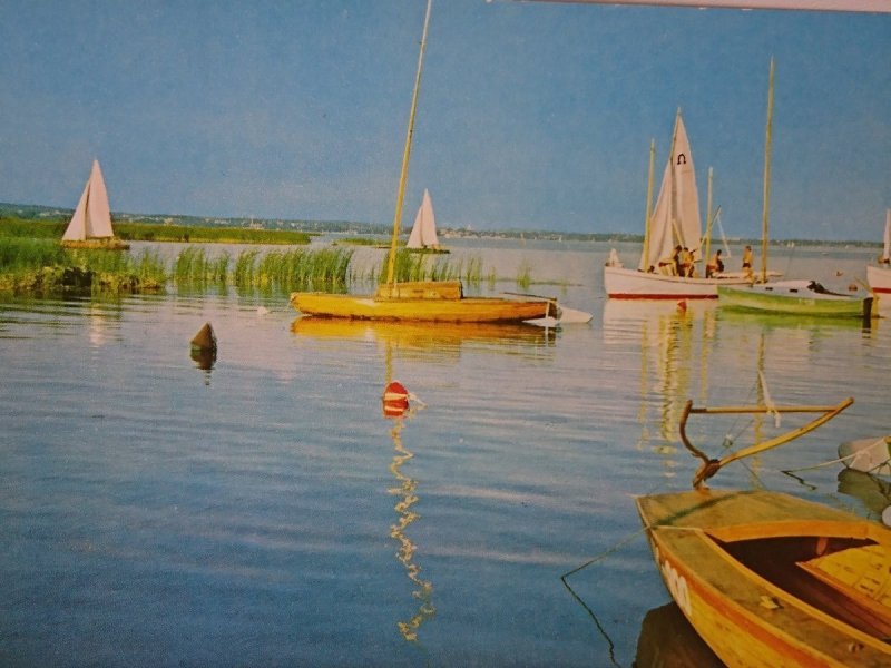 WILKASY. NA JEZIORZE... FOT. T. SUMIŃSKI