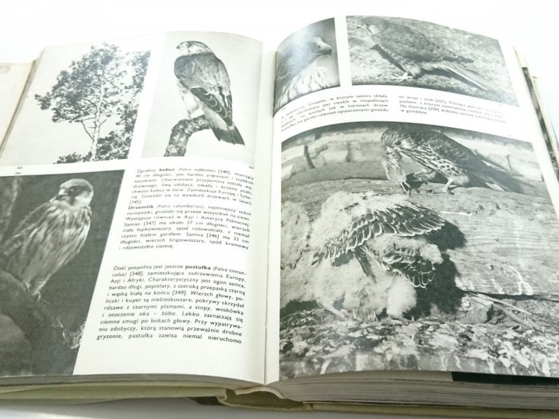 WIELKI ATLAS PTAKÓW - Jan Hanzak 1974