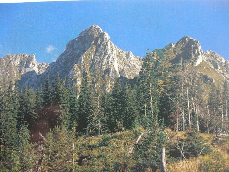 GIEWONT. FOT. JERZY CHOJNACKI