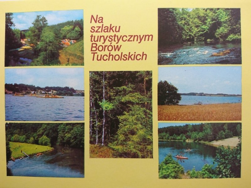NA SZLAKU TURYSTYCZNYM BORÓW TUCHOLSKICH
