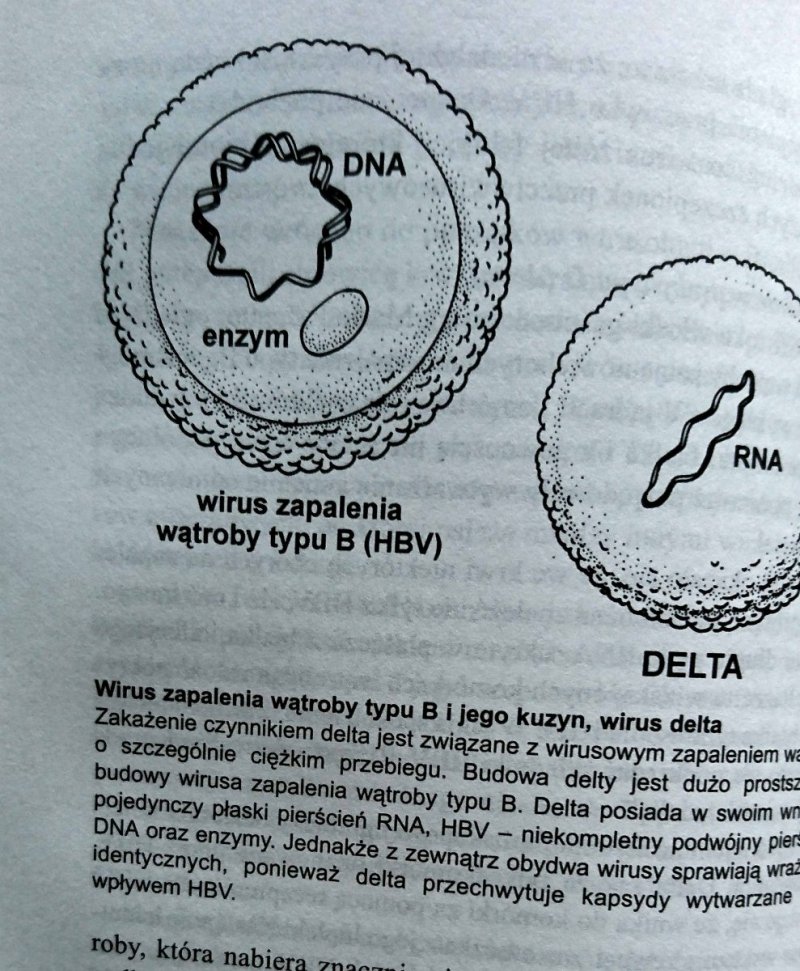 NIEWIDZIALNI NAJEŹDŹCY - Peter Radetsky 1998