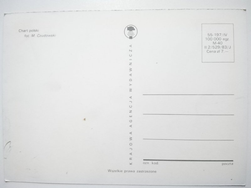 CHART POLSKI FOT. M. CZUDOWSKI