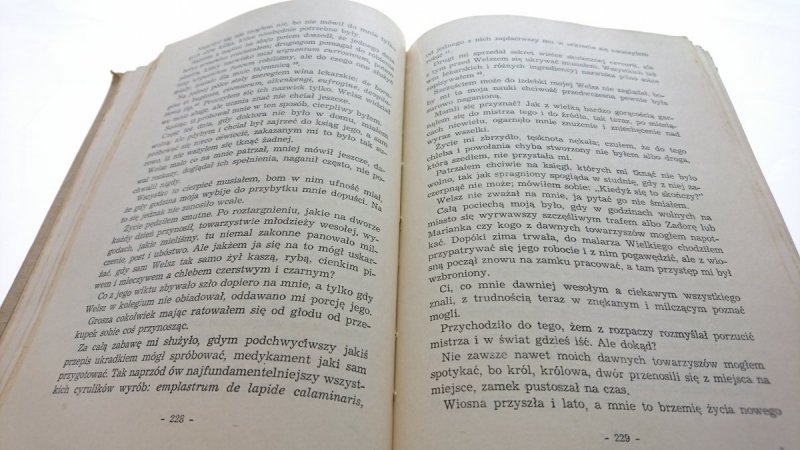 JASZKA ORFANEM ZWANEGO ŻYWOTA I SPRAW - Kraszewski