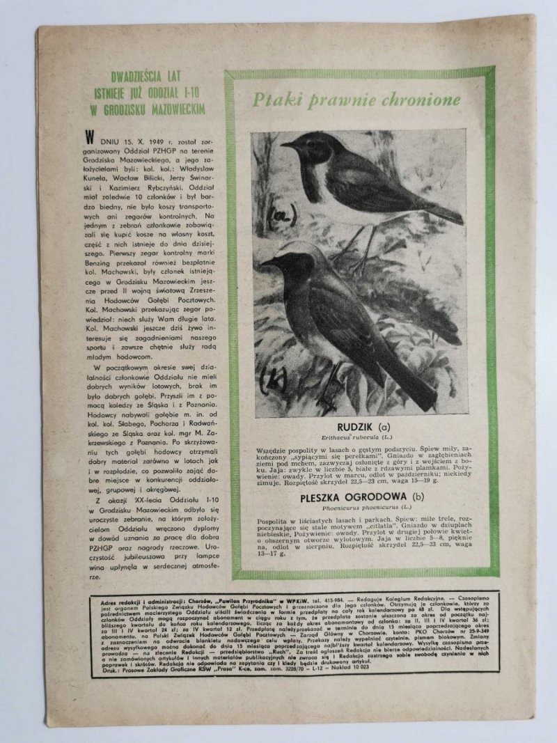 HODOWCA GOŁĘBI POCZTOWYCH NR 10  1970