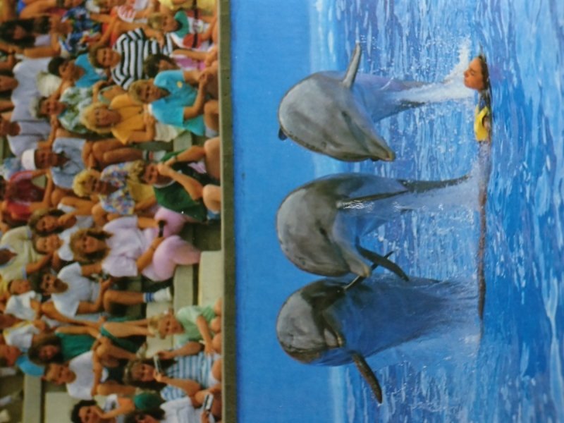 MARINELAND - CATALUNYA. CTRA. PALAFOLLS - MALGRAT