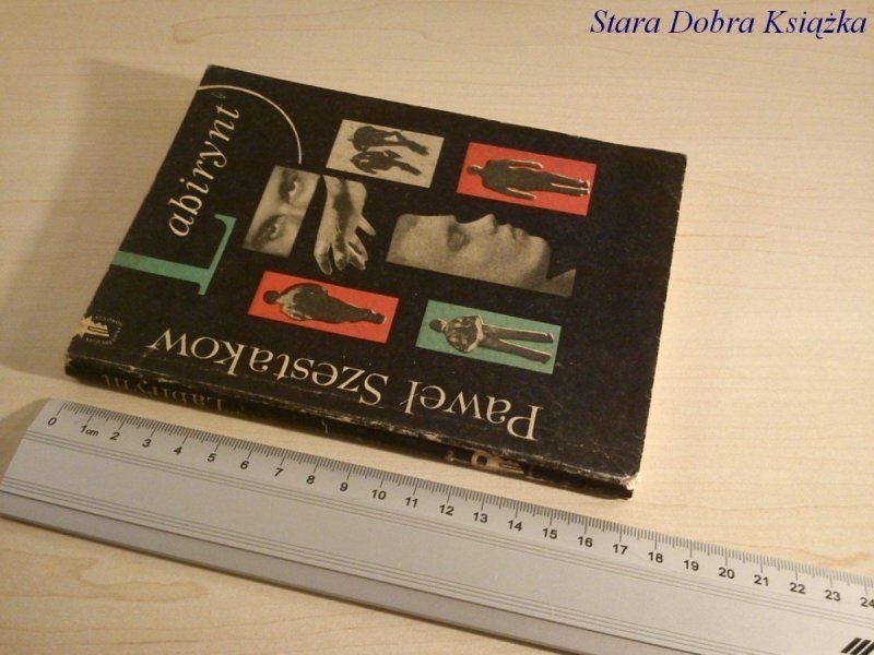 LABIRYNT - Paweł Szestakow