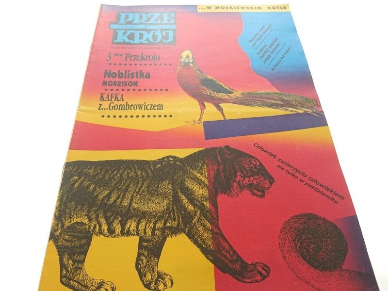 PRZEKRÓJ NUMER 43/2522 24 PAŹDZIERNIKA 1993